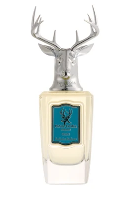 Creating Animal-Shaped Zink Alloy Parfume Caps: A Constructive Guide